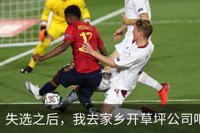 失选之后，我去家乡开草坪公司吧！